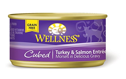 Wellness 2660 Cubed Turkey and Salmon Entree Cat Food 24/3 Oz