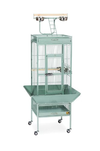 Produits pour animaux de compagnie PREVUE 3152 SAGE CAGE SELECT FER WARRID (SAGE, 24X20X60IN)