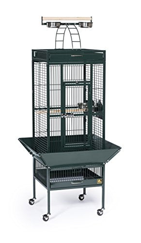Prevue Pet Products Wrought Iron Select Bird Cage, 18-Inch by 18-Inch by 57-Inch, Jade Green