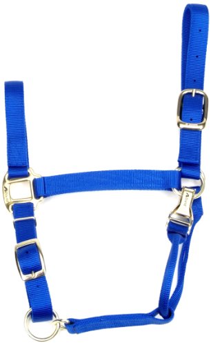 Coastalpet Accent 1-Inch Deluxe Halter with Equi-Snap & Chin Adjustment