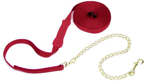 Chaîne de fente Coastalpet avec adhérence (rouge)