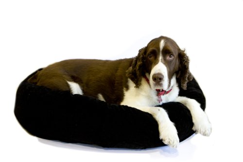Danazoo 34-Inch x 24-Inch x 8-Inch Donut Bed-Mailer, Black