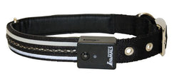 La compagnie des animaux petit collier de chien vif, noir