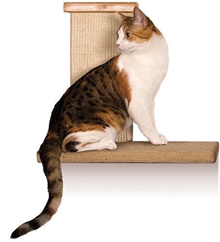 Pioneer Pet 3817 SmartCat Sky Climber