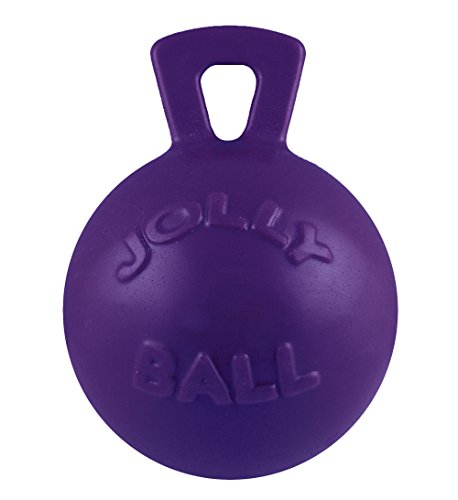 Jolly Pet 6-Inch Tug-n-Toss, Purple