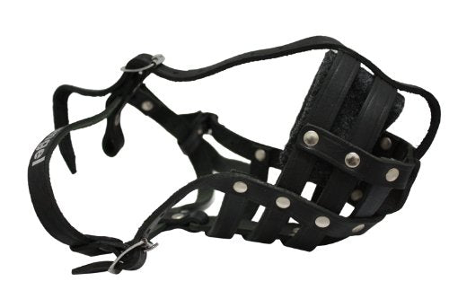 Muzle du panier en cuir (Boston). BM3, noir. 12,25 "circonférence, 3,25" longueur. Voir mesurer le graphique / conseils