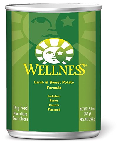 Wellness Complete Health Super-5 Aliments pour chiens en conserve 12/12,5 oz