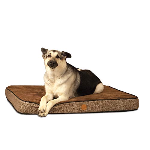 K&H Manufacturing Orthopedic Superior Pet Bed, Large 40-Inch by 50-Inch, Mocha Paw Bone Print