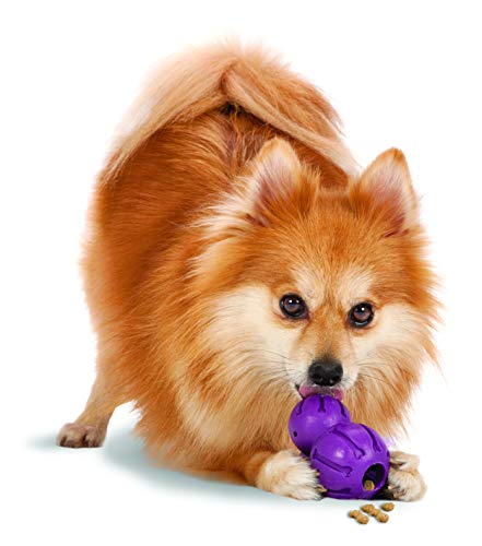 Busy Buddy Barnacle Treat Dispensing Dog Toy