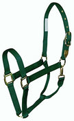 Coastalpet Hamilton a gradué le licou de luxe avec un ajustement Equi-Snap et le menton 1 pouce (vert, petit)