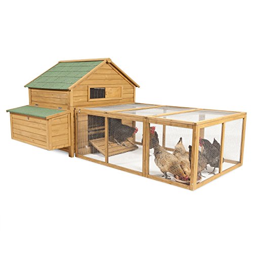 Petmate 43104 Aspen Pet Poulet