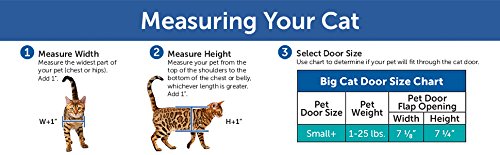 PetSafe Big Cat Cat Flap