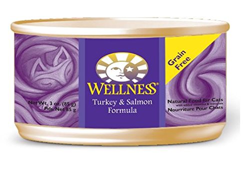 Bien-être 8953 Alimentation complète du saumon et de la dinde en conserve (24/3 oz)