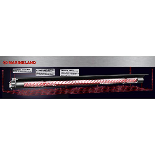 Marineland Accent Hidden LED System in Red