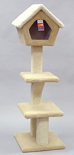 North American Pet 49224 Classy Kitty Deluxe Tree avec maison en haut de 62,5 pouces.