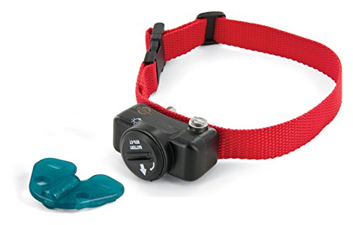 PetSafe Ultralight Receiver Collar for Dogs and Cats over 3.6 kg, Waterproof with Tone and Static Stimulation