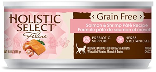 Holistic Select 47159 Grain Free Salmon and Shrimp Pate Food For Cat (24/5.5OZ)