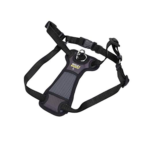 Coastal Pet Harness