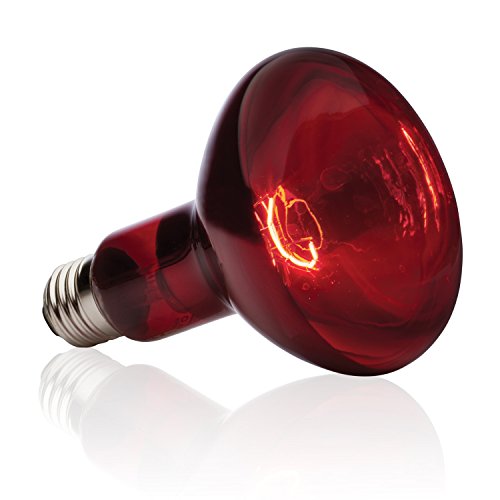 ZooMed Nocturnal Infrared Heat Lamp (150 Watt)