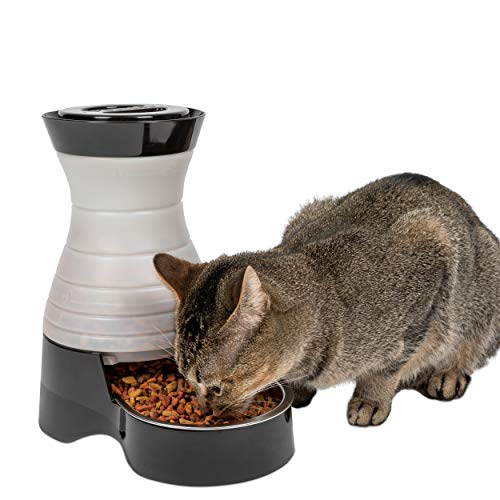 PetSafe Healthy Pet Gravity pour chiens et station de nourriture pour chats, bol en acier inoxydable, tient des aliments secs pour chiens ou chats