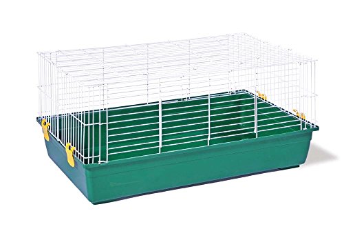 Prévue 2524 Produits pour animaux de compagnie Cage tubby 524 39.25x21.75x18.75 2pk
