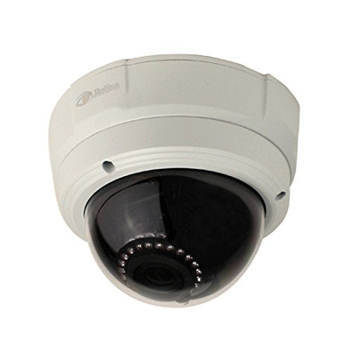 Retina RET1076W High Definition IP Outdoor Dome Camera with IR - White