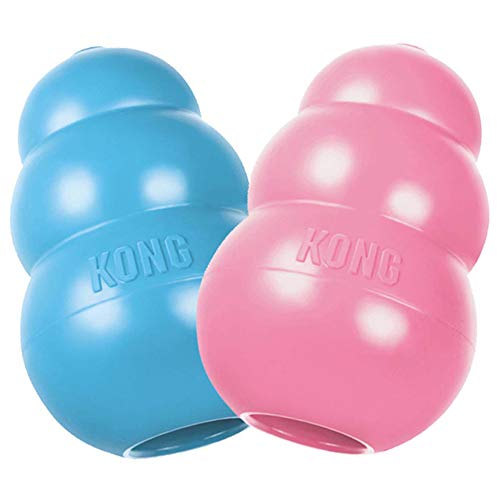 KONG Puppy Toy Natural Teething Rubber -Fun to Chew, Chase & Fetch- For Medium Puppies (Color May Vary)