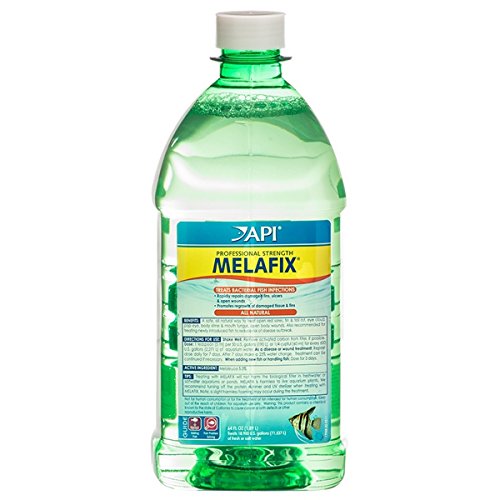API AA8379 Melafix Antibacterial Fish Remedy 64oz