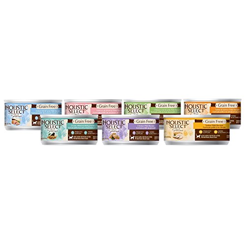 Gift Basket Holistic Select Grain Free Canned Food for Adult Cat or Kitten (24/3OZ)