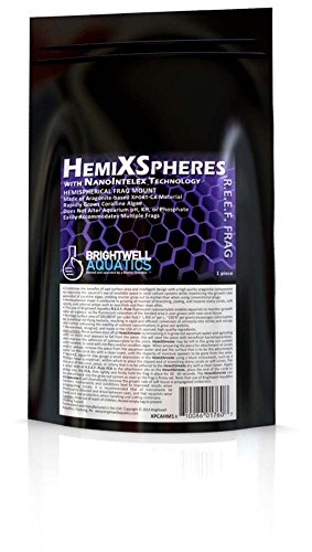 Brightwell Aquatics XPCAHM20 Hemixspheres pour le montage Frag 20pk / 2in