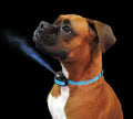 Spray Doctek Nobark
