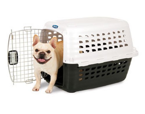 Petmate Compass Kennel Metallic White/Black (19x12.7x11.5 Inch)