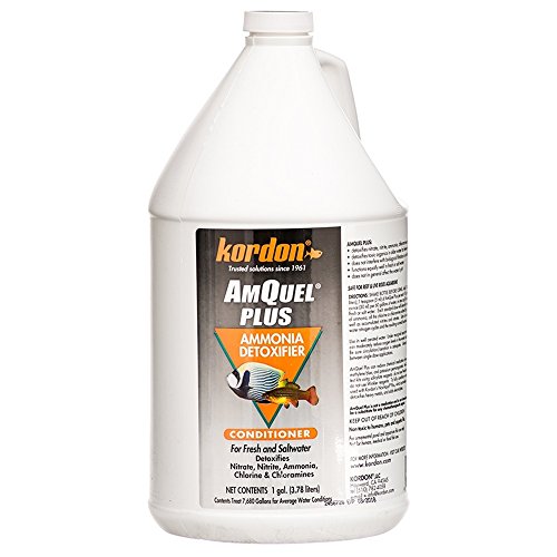 Kordon AA8020 Amquel Plus Conditioner for Aquarium 1-Gallon