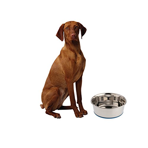 OurPets Premium DuraPet Dog Bowl