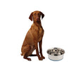 OurPets Premium DuraPet Dog Bowl