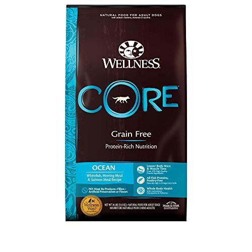 Wellness Core Natural Grain Free Dry Dog Aliments pour chiens