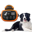 Depps Wireless Dog Containment System with Rechargeable Transmitter and Rechargeable Collar Receiver - Safe & Easy Install WiFi Radio Electric Dog Fence (One Dog System Orange)