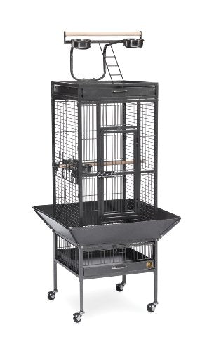 Produits pour animaux de compagnie Prévue Cage d'oiseaux Sélect Bird, Black Hammertone