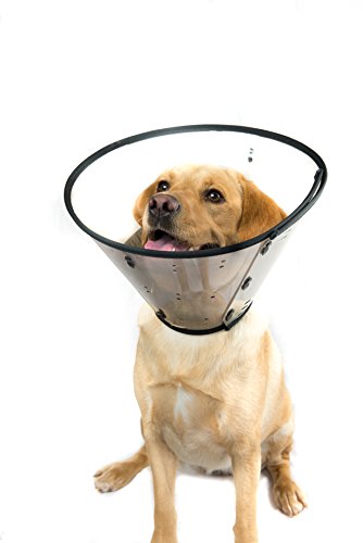 MDC Pet Products Dog Smart Collar (12-16in) (May Vary)