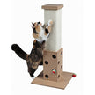 Ultimate Scratch and Play Cat Scratcher and Cat stratching post tree