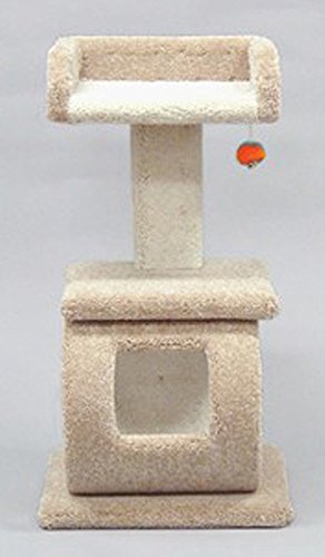 Pet nord-américain 49311 piédestal minuscule chic avec plateau et tunnel 40 pouces