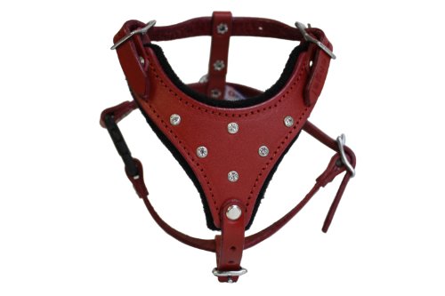 Rétalonnements en cuir harnais de chien bling, petit, rouge, 100% en cuir argentin authentique (Malibu) pour de petites races. Cou: 7 "- 14". Coffre: 17 "- 21"