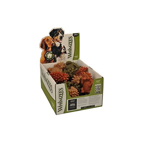 Boîte d'affichage en vrac Hedgehog Multi Medium -30 Piece