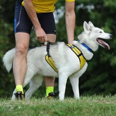 Canadog Regular X-Back Harness Fleece Lined