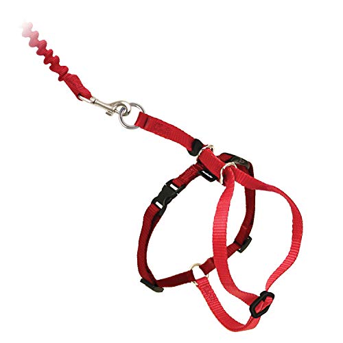 Premier Pet Come with me Kitty Harness Medium, Red/Cranberry