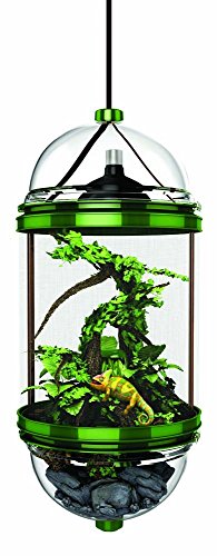 Biobubble 37100003 Chameleon Cantina