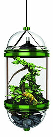 Biobubble 37100003 Chameleon Cantina