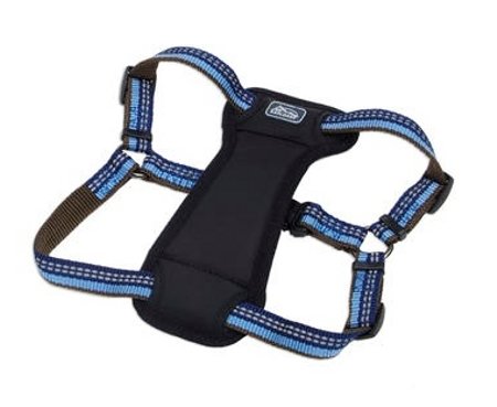 Harness d'explorateur de compagnie côtière K9 26-38X1
