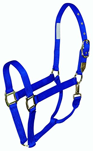 Coastalpet Hamilton a gradué le licou de luxe avec un ajustement Equi-Snap & Chin 1 inch