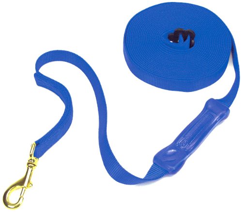 Accent 1-Inch by 26-Feet Lunge Snap/Grip, Blue